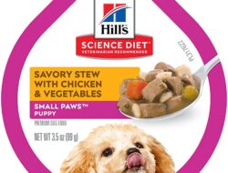 Comida húmeda para perros