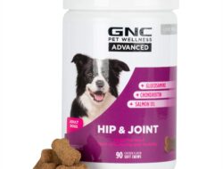 Suplementos para perros